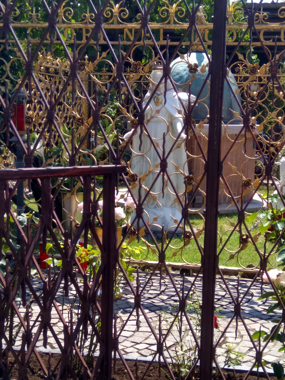 Mamma rosa San Damiano
